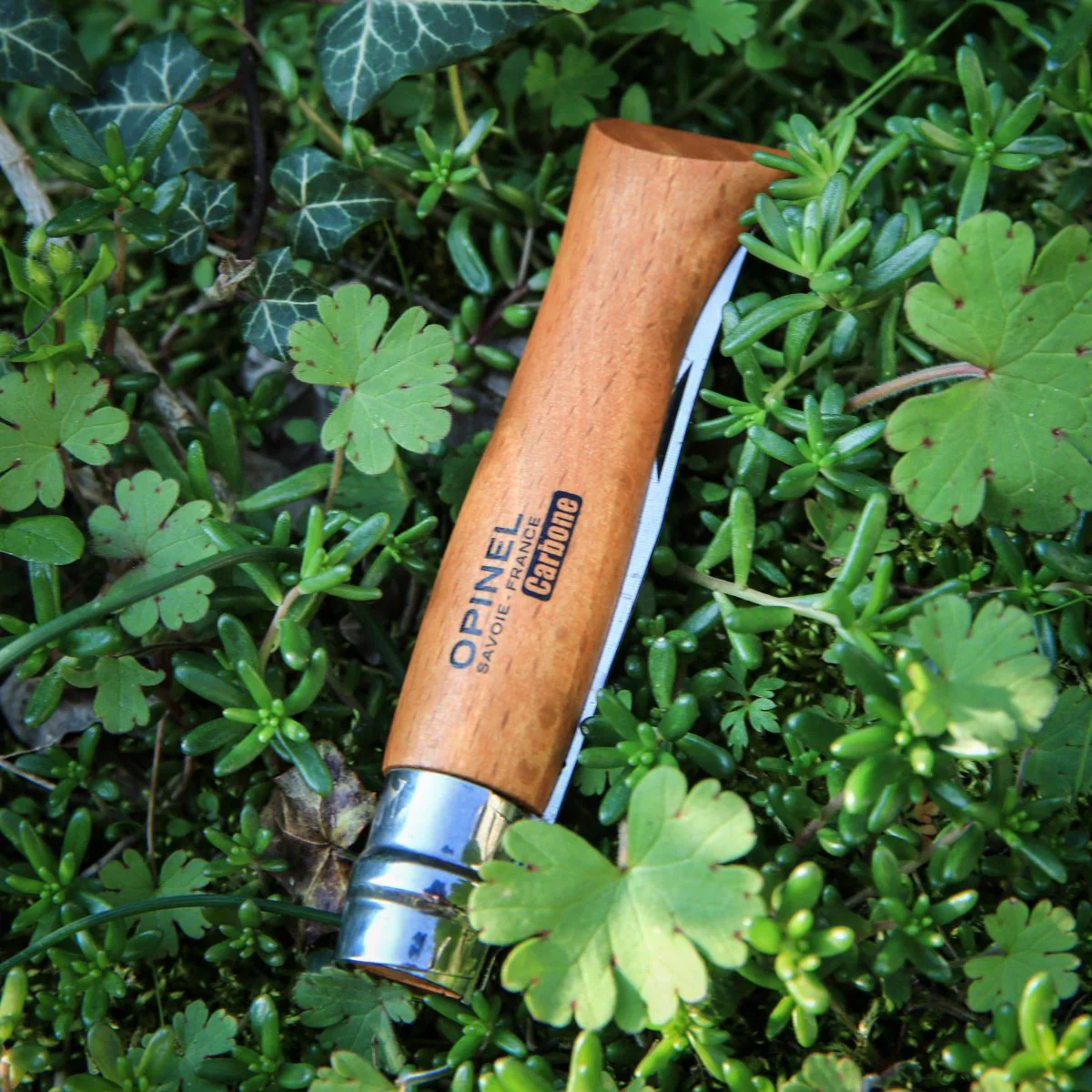 Opinel No.12 Carbon Steel Folding Knife Beech