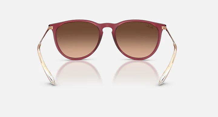 17063-ray-ban-erika-classic-rubber-beige-1.webp