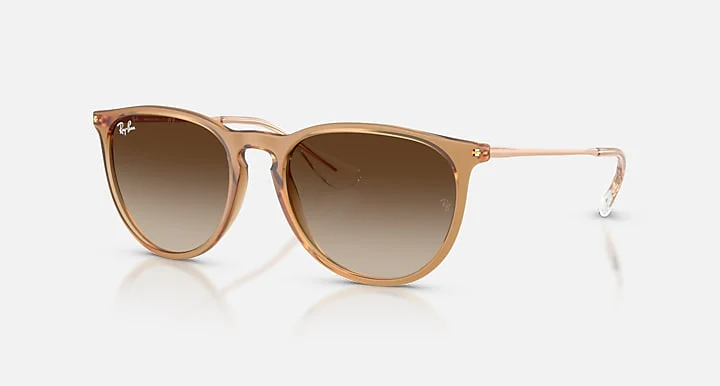 Ray Ban Erika Classic Rubber Beige