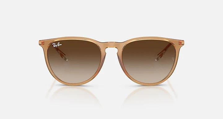 17063-ray-ban-erika-classic-rubber-beige-1.webp