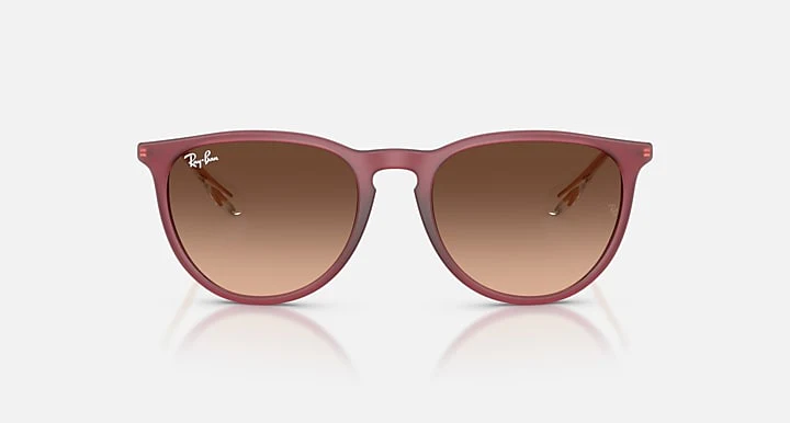 17063-ray-ban-erika-classic-rubber-beige-1.webp