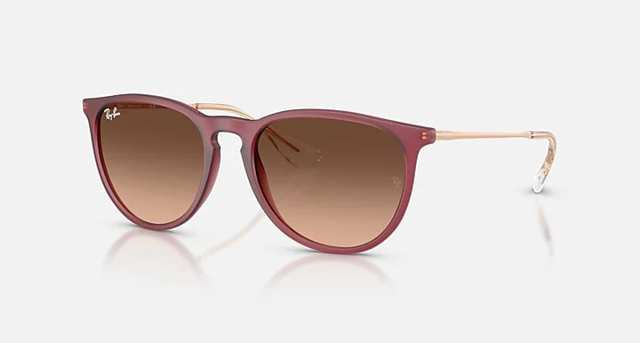 17063-ray-ban-erika-classic-rubber-beige-1.webp